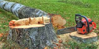 Best Aeration Services  in Oak Grove, VA