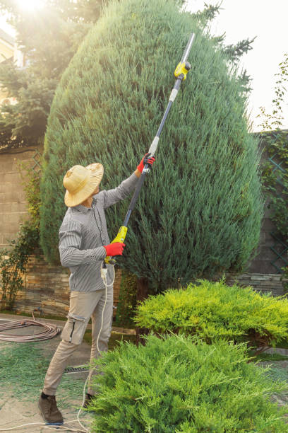 Best Artificial Turf Installation  in Oak Grove, VA